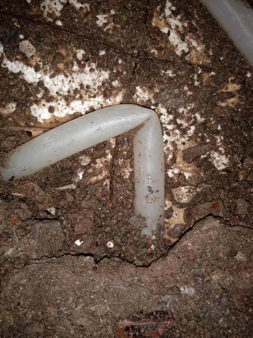 遂昌堵点精准查找